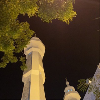 Telegram profile photo for المُطمَئنَّةُ