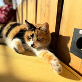 Telegram profile photo for Post