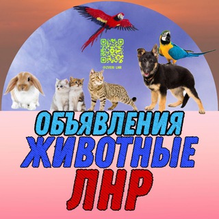 Telegram profile photo for Объявления Животные ЛНР | ДНР