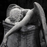 Telegram profile photo for 1864.