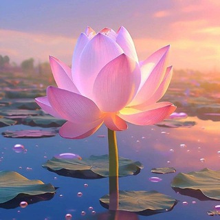 Telegram profile photo for Иллария Ра Свет🌅 Душевный чат😇