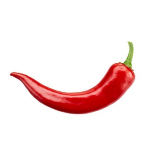 Telegram group profile photo for Самуи & Кухня – ЧАТ