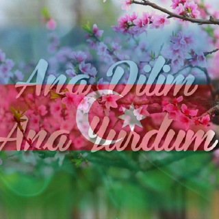 Telegram profile photo for Ana Dilim Ana Yurdum
