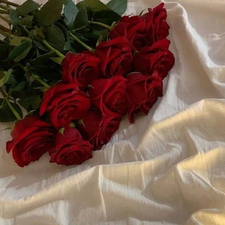 Telegram profile photo for نـوࢪٌ علـى نـوࢪ ❣️.