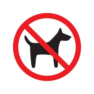 Telegram profile photo for 新锐曝光