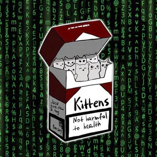 Telegram profile photo for 𝗔𝗻𝗶𝗺𝗮𝗟 ٛ𝗦𝗲𝘅𝗼𝗹𝗼𝗴𝘆