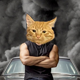 Telegram profile photo for семья одобрит