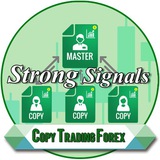 Telegram profile photo for Strong Signals Copy Trading