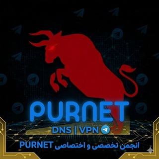 Telegram group profile photo for گروه کاربران PURNET (عبور از تحریم)