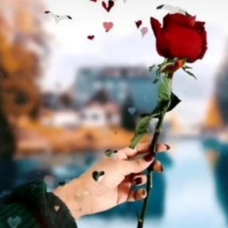 Telegram profile photo for الضلوعيه 💖🦋