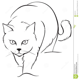 Telegram profile photo for Брянский скиталец