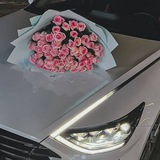 Telegram profile photo for 𝕬𝖎𝖌𝖊𝖗𝖎𝖒