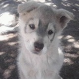Telegram profile photo for че происходит