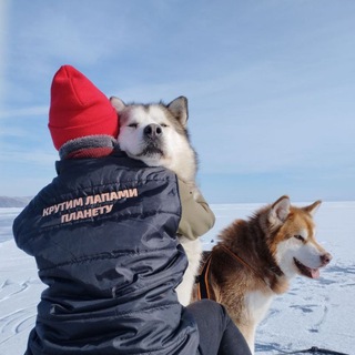Telegram profile photo for OUTDOG trekking | Походы | Путешествия