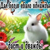 Telegram profile photo for Точно -- Точно Не Злая Собака