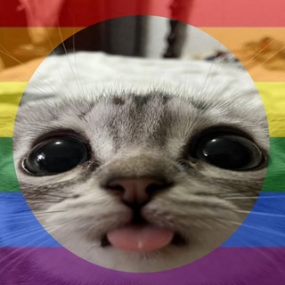 Telegram profile photo for котики is power