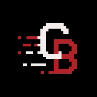 Telegram profile photo for CryptoBIT🎡
