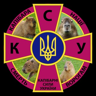 Telegram profile photo for Капібарні Сили України 🇺🇦