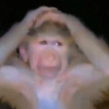 Telegram profile photo for Wallahiimfucked