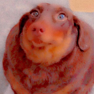 Telegram profile photo for щитпостинг гаёныша