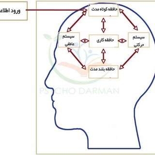 Telegram profile photo for آموزش سنجش بالینی تمرکز در کودکان