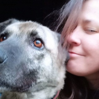Telegram profile photo for В поисках баланса