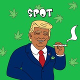 Telegram profile photo for PROOF OF TRUMP | $POT