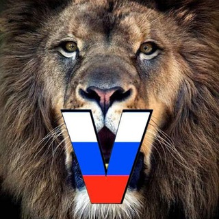 Telegram profile photo for Львы тик тока (@johnny_best_leo)