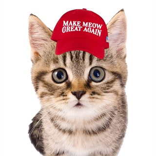 Telegram profile photo for TRUMP CAT