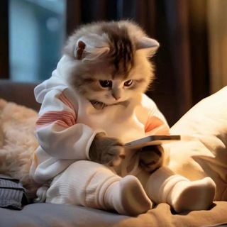 Telegram profile photo for Коты Котята Котики