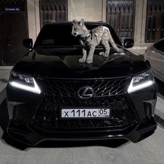 Telegram profile photo for juniorrr
