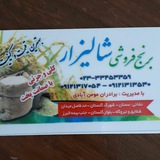 Telegram profile photo for برنج فروشی شالیزار