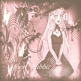 Telegram profile photo for 𝙸𝚗𝚏𝚘ִׄ𝆹𝅥 𝅄 ִ𝙼𝚘𝚘𝚗 𝚁𝚊𝚋𝚋𝚒𝚝
