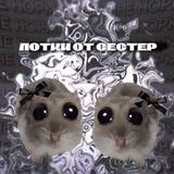 Telegram profile photo for лотки от сестер