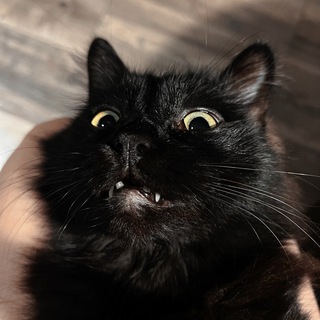 Telegram profile photo for ведьмин дом