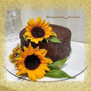 Telegram profile photo for TAYEBEH & TASTES