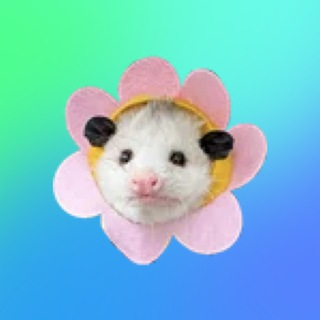 Telegram profile photo for Sabinka