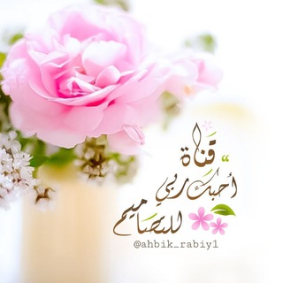 Telegram profile photo for أحبك ربي