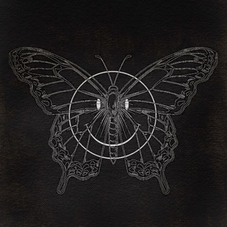 Telegram profile photo for PHOBIA