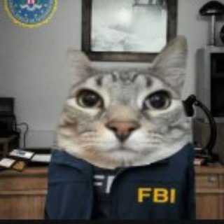 Telegram profile photo for Criminal Cyber.