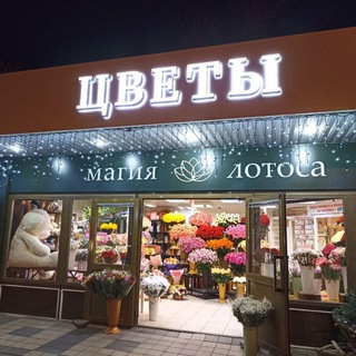 Telegram profile photo for Магия Лотоса