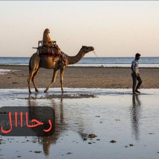 Telegram profile photo for خووواااطر 📚 🐪 رحااال🐪