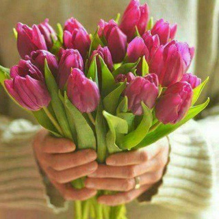 Telegram profile photo for توليب_Tulip