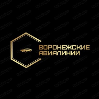 Telegram profile photo for ВОРОНЕЖСКИЕ АВИАЛИНИИ_36