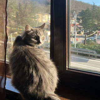 Telegram profile photo for Приключения Сереги