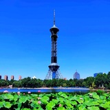 Telegram profile photo for 石家庄外围 -桔子高端外围女预约平台【十年信誉老牌】 石家庄同城 石家庄外围女 石家庄上门服务