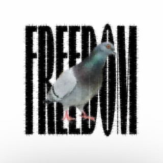 Telegram profile photo for freedom
