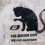 Telegram profile photo for швидка молодість