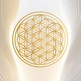 Telegram profile photo for M U D R A - the wise 🌞🌑