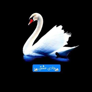 Telegram profile photo for 🦢واد؎ ؏ـشـــــق🦢